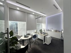 The Central (D1), Office #549830061